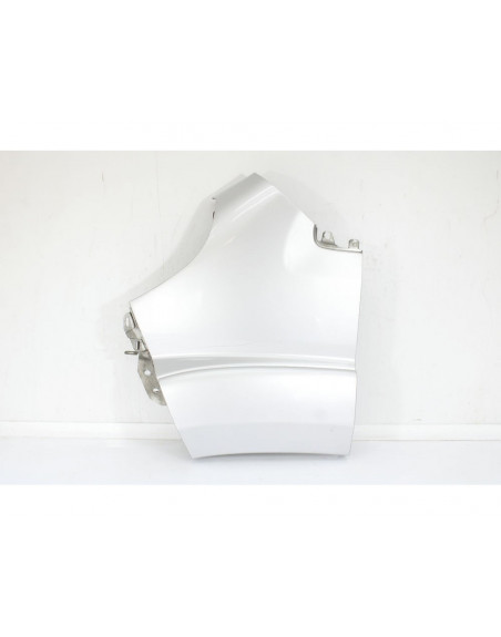 Recambio de aleta delantera izquierda para fiat ducato furgoneta (250_) 160 multijet 3,0 d referencia OEM IAM