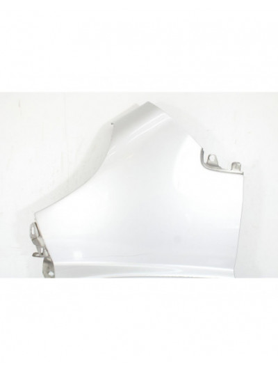 Recambio de aleta delantera izquierda para fiat ducato furgoneta (250_) 160 multijet 3,0 d referencia OEM IAM