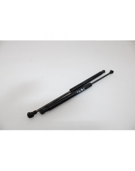 Recambio de amortiguadores maletero / porton para fiat panda van iii referencia OEM IAM 00518416340