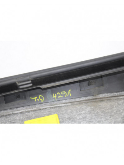 Guarnecido puerta trasera derecha FIAT BRAVO 1.9 Active Multijet 2010
