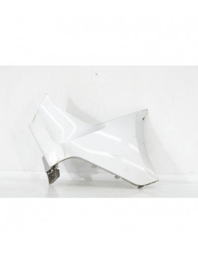 Recambio de aleta delantera derecha para ford transit connect v408 furgoneta/monovolumen 1.6 tdci referencia OEM IAM DT1117926