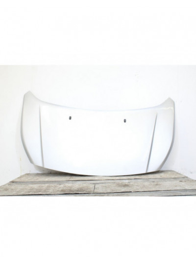 Recambio de capot para ford transit connect v408 furgoneta/monovolumen 1.6 tdci referencia OEM IAM