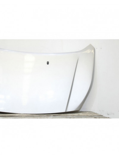 Capo FORD TRANSIT CONNECT V408 Furgoneta/monovolumen 1.6 TDCi 2013