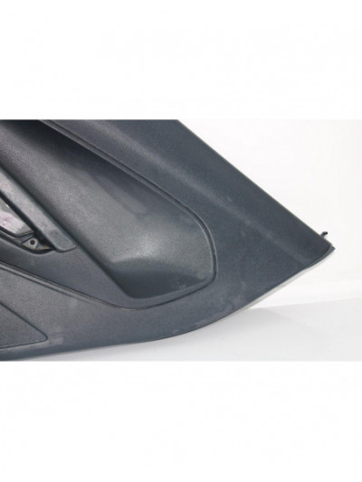 Guarnecido puerta trasera derecha FORD FIESTA Ambiente 2008