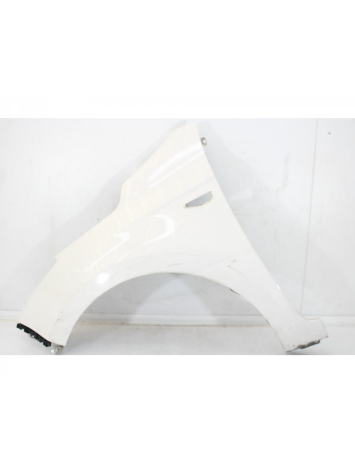 Recambio de aleta delantera izquierda para hyundai i20 i (pb, pbt) 1.2 referencia OEM IAM