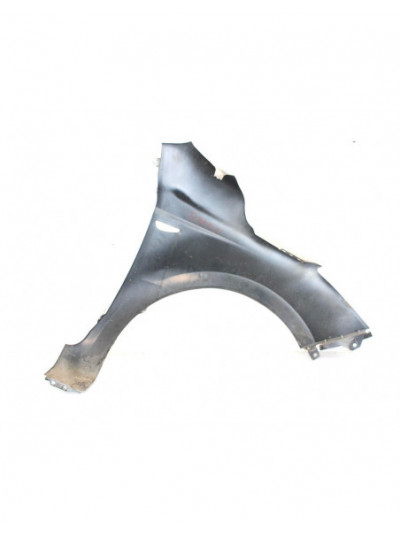 Recambio de aleta delantera izquierda para hyundai i20 i (pb, pbt) 1.2 referencia OEM IAM