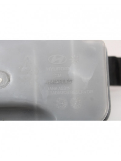 Depósito expansión HYUNDAI SANTA FE 2.2 CRDi Comfort 4X4 2007