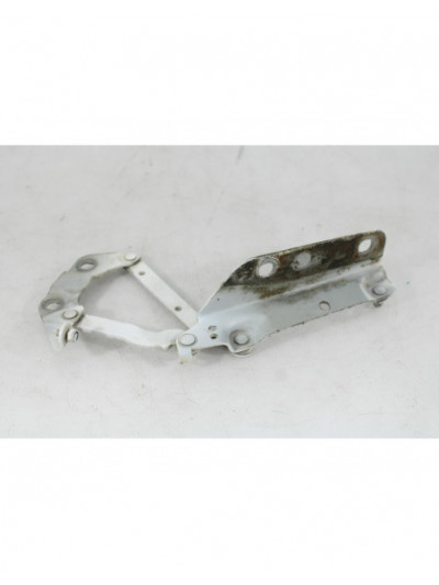 Recambio de bisagra capo izquierda para land rover range rover evoque (l538) 2.2 d referencia OEM IAM 6H5216801AC