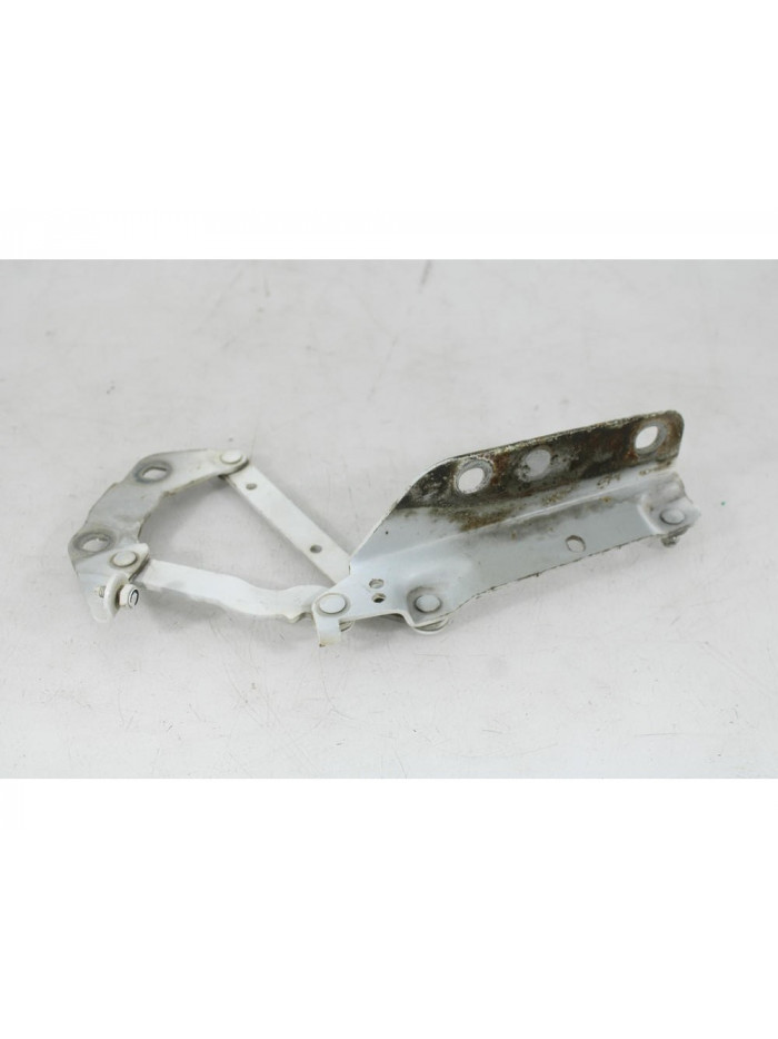 Bisagra capo izquierda LAND ROVER RANGE ROVER EVOQUE 2.2 D 2012
