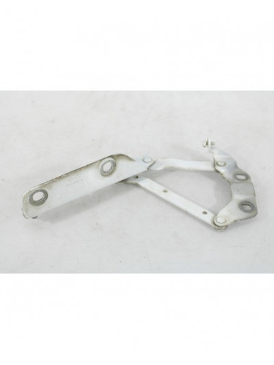 Bisagra capo izquierda LAND ROVER RANGE ROVER EVOQUE 2.2 D 2012