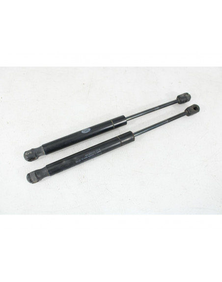 Recambio de amortiguadores capo para land rover range rover evoque (l538) 2.2 d referencia OEM IAM