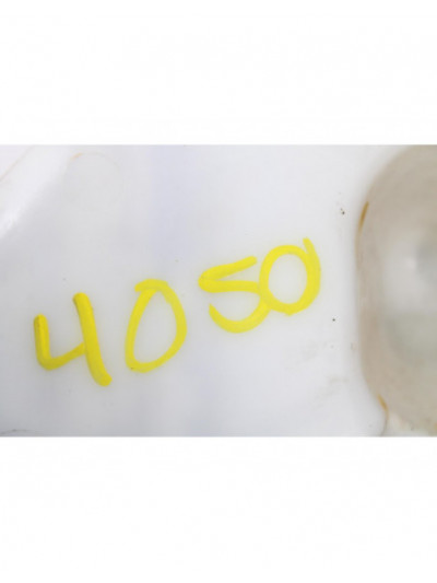 Depósito limpia LAND ROVER RANGE ROVER SPORT V6 TD S 2010