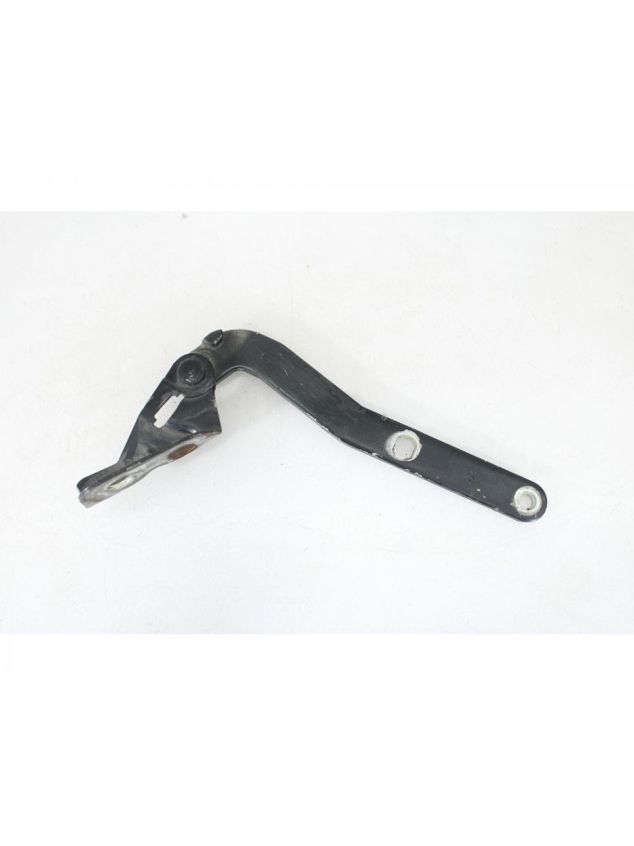 Bisagra capo derecha LAND ROVER FREELANDER 2.0 Td4 CAT 2005