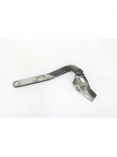 Bisagra capo derecha LAND ROVER FREELANDER 2.0 Td4 CAT 2005