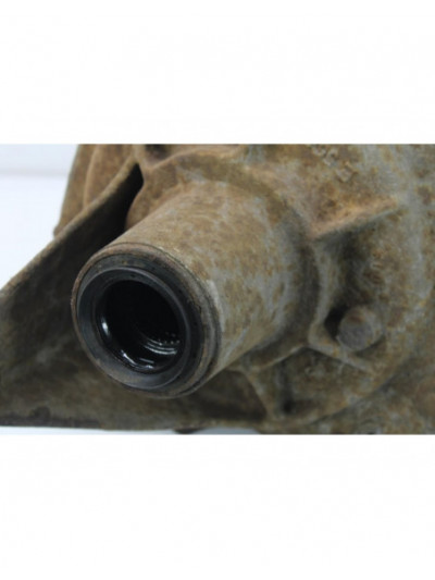 Diferencial trasero LAND ROVER DISCOVERY V6 TD SE 2008