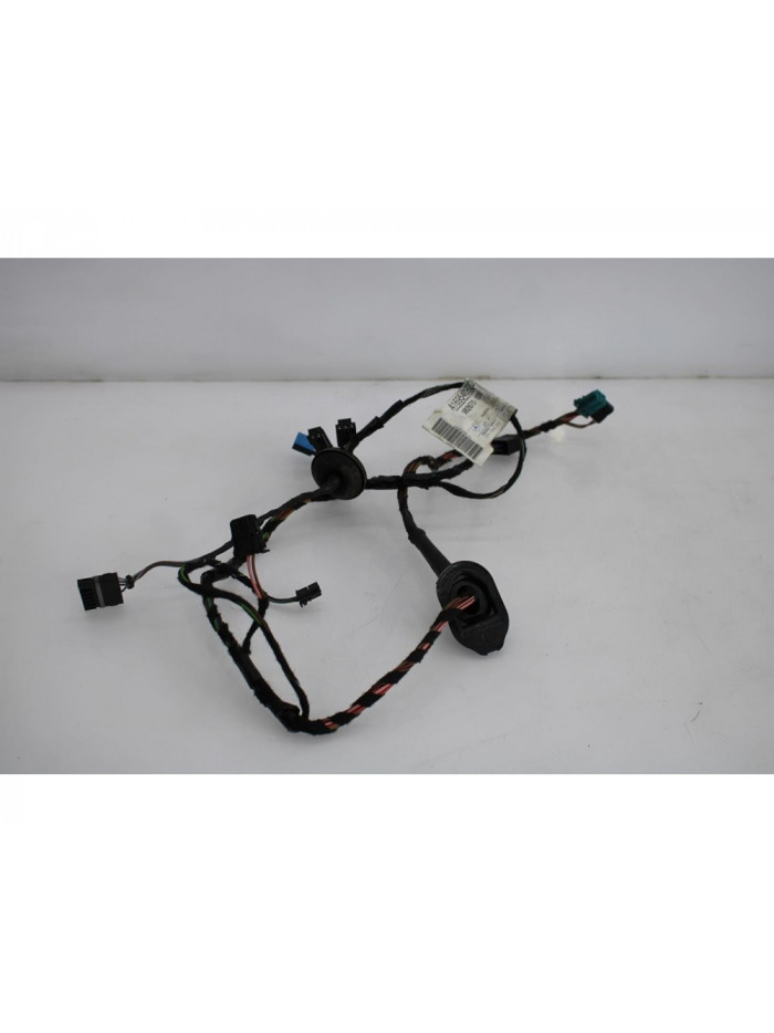 Recambio de cableado puerta trasera izquierda para mercedes-benz clase b (w245) 180 cdi (245.207) referencia OEM IAM A1695450045