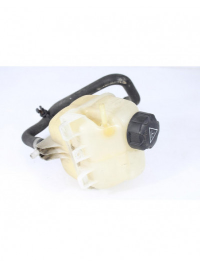 Depósito expansión MINI R56 One 2007