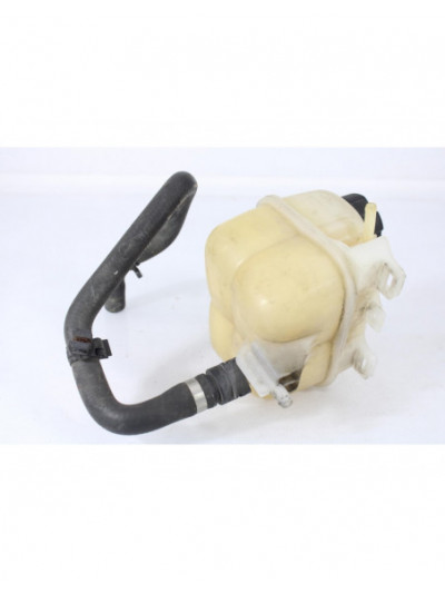 Depósito expansión MINI R56 One 2007