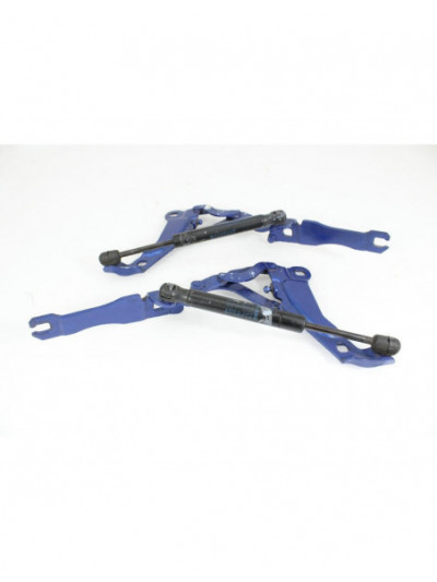 Recambio de bisagras capo para mini r56 1.4 16v cat referencia OEM IAM 2751203