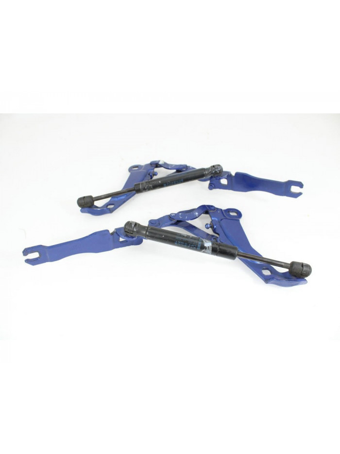 Bisagras capo MINI R56 1.4 16V CAT 2006