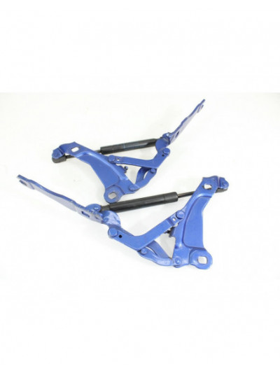 Bisagras capo MINI R56 1.4 16V CAT 2006