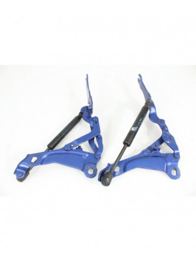 Bisagras capo MINI R56 1.4 16V CAT 2006