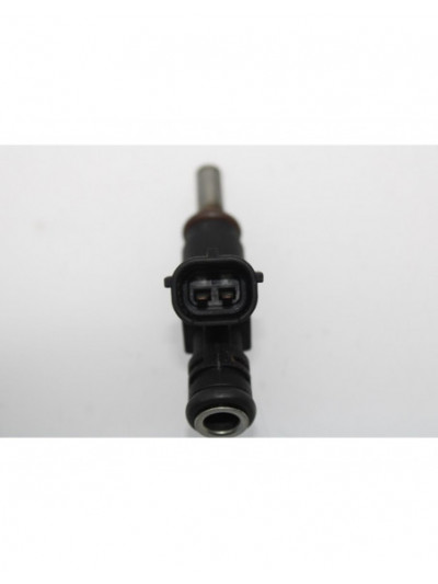 Inyector MINI R56 1.4 16V CAT Gasolina 95CV 70KW 2007