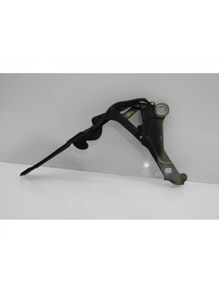 Bisagra capo derecha MINI R56 1.6 16V CAT 2010