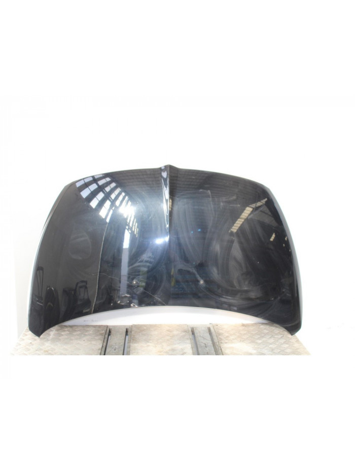 Capo MITSUBISHI GRANDIS 2.0 DI-D Inform 2006