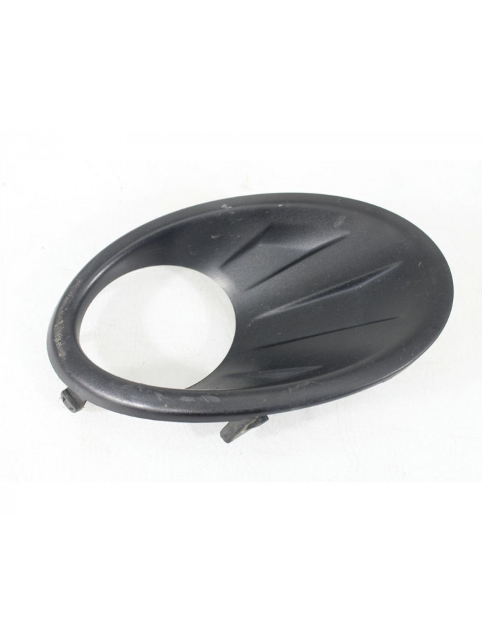 Recambio de moldura piloto derecho para nissan qashqai i (j10, nj10) 2.0 dci referencia OEM IAM 62256BR03A