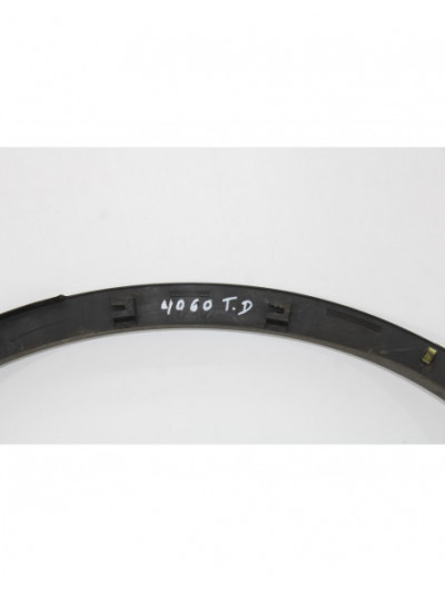 Recambio de aletin trasero derecho para nissan qashqai (j10) 360 referencia OEM IAM 4060T.D