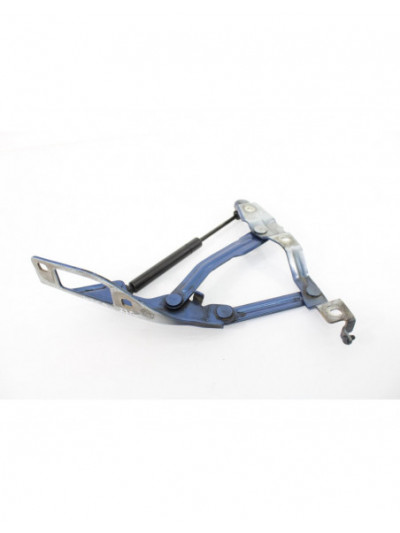 Recambio de bisagra capo izquierda para audi tt (8n3/8n9) 1.8 t quattro coupe (165kw) referencia OEM IAM 8N0823301