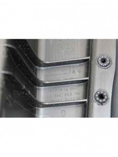Guarnecido puerta trasera izquierda PEUGEOT 3008 Active 2013