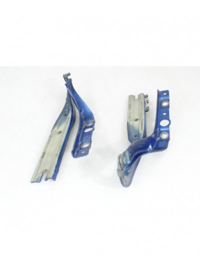 Recambio de bisagras capo para peugeot 407 referencia OEM IAM 9640968880