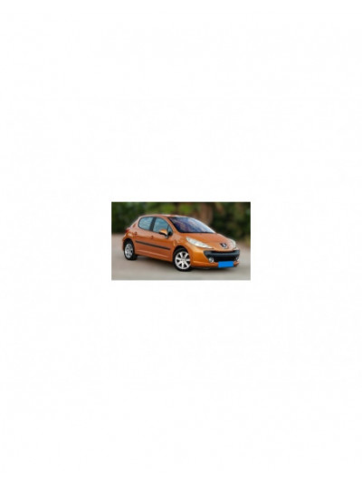 peugeot 207 del año 2006