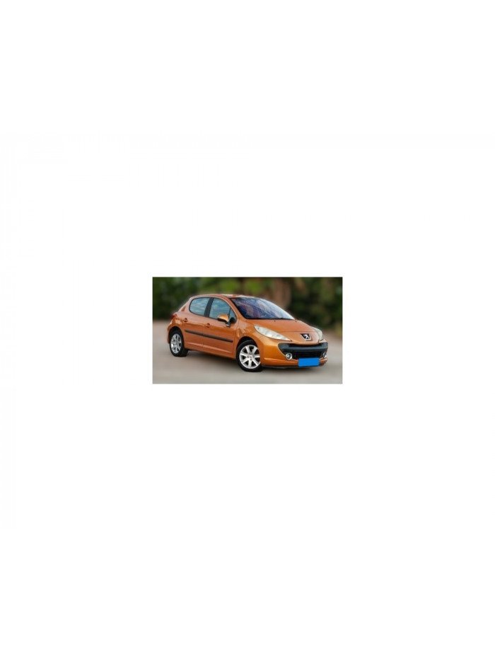 peugeot 207 del año 2006