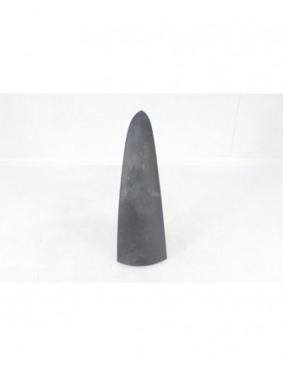 Recambio de molduras traseras para renault kangoo express (fw0/1_) 1.5 dci 75 (fw07, fw10, fw04) referencia OEM IAM 8200499015