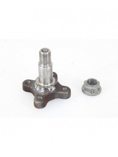 Recambio de buje para renault kangoo extrem referencia OEM IAM 4465TD