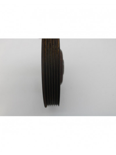 Polea correa servicio RENAULT SCENIC III Dynamique 2010