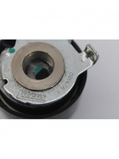 Polea tensora distribución RENAULT SCENIC III Dynamique 2010