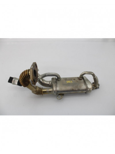Enfriador EGR RENAULT SCENIC III Dynamique 2010