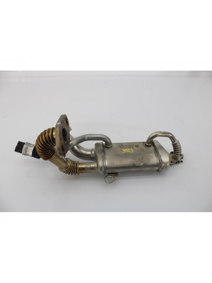 Enfriador EGR RENAULT SCENIC III Dynamique 2010