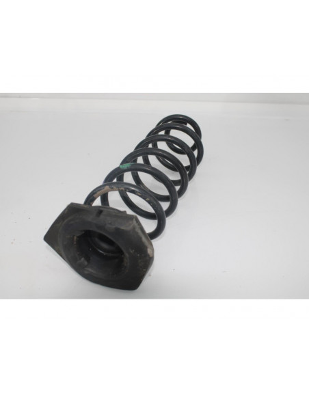 Recambio de muelle amortiguacion para renault scenic iii dynamique referencia OEM IAM TRASEROIZQ.