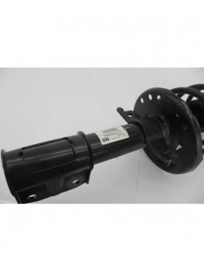 Recambio de amortiguador delantero izquierdo para renault scenic iii dynamique referencia OEM IAM 543020017R