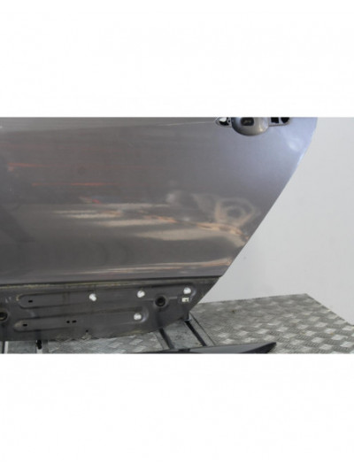 Puerta trasera izquierda RENAULT SCENIC III Dynamique 2010