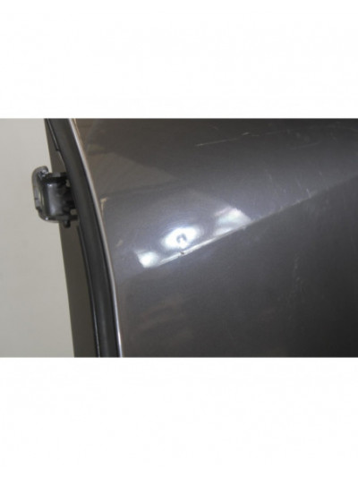 Puerta trasera izquierda RENAULT SCENIC III Dynamique 2010
