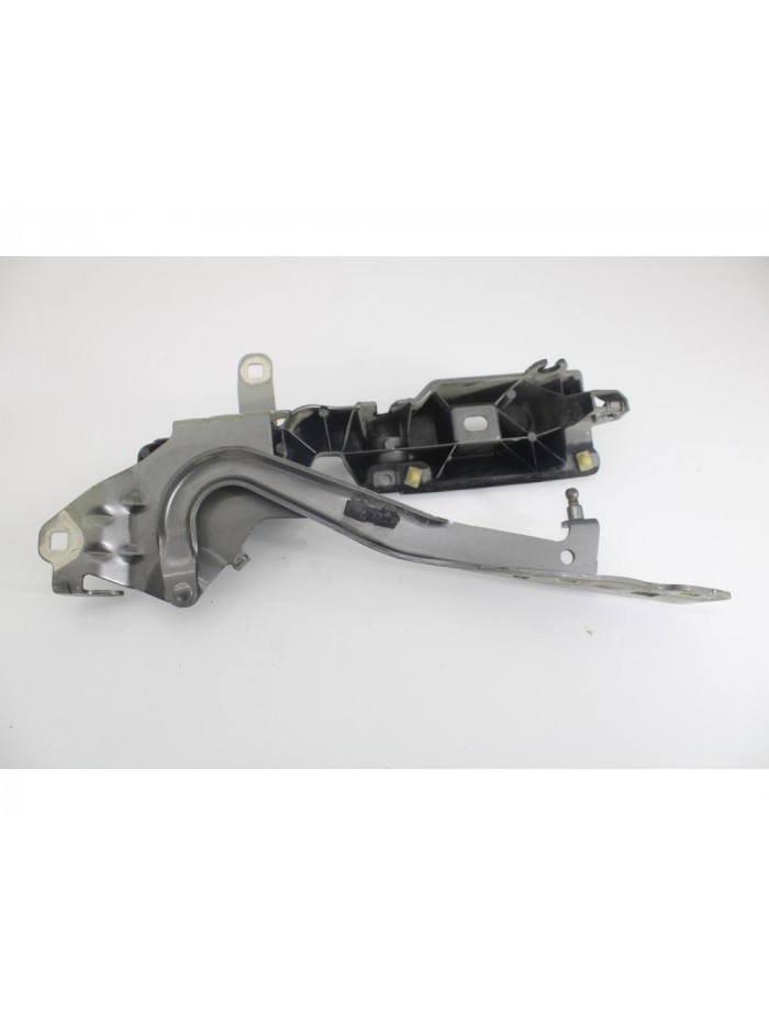 Bisagra capo derecha RENAULT SCENIC III Dynamique 2010