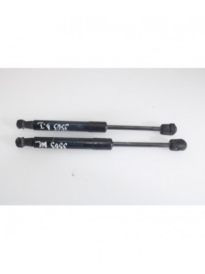 Recambio de amortiguadores capo para renault scenic iii dynamique referencia OEM IAM 654700008R