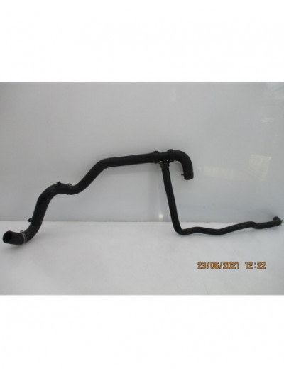 Manguito agua RENAULT SCENIC III 1.5 dCi Diesel FAP 2011