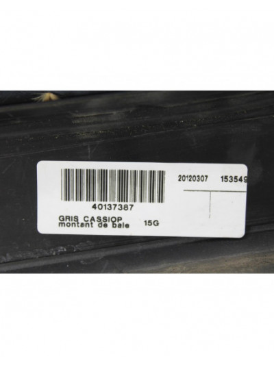 Recambio de molduras delanteras para renault scenic iii dynamique referencia OEM IAM 768351859R